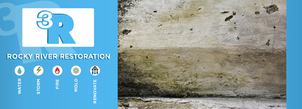 Rocky River Restoration